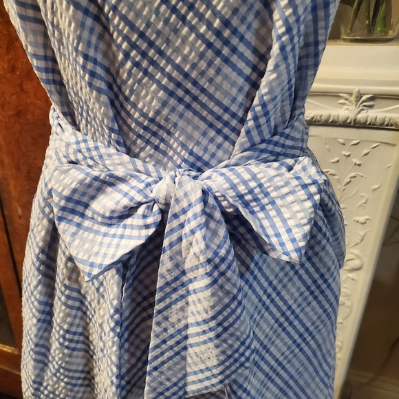 💥Anne Klein Midi Blue/white Ginham Dress - Picture 5 of 10